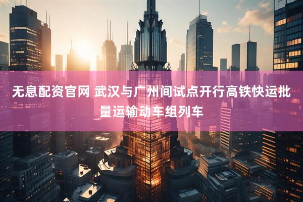 无息配资官网 武汉与广州间试点开行高铁快运批量运输动车组列车
