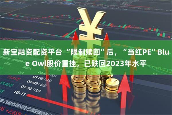 新宝融资配资平台 “限制赎回”后，“当红PE”Blue Owl股价重挫，已跌回2023年水平