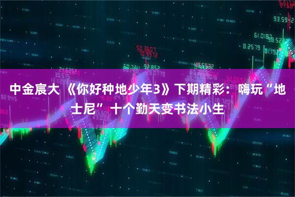 中金宸大 《你好种地少年3》下期精彩：嗨玩“地士尼” 十个勤天变书法小生